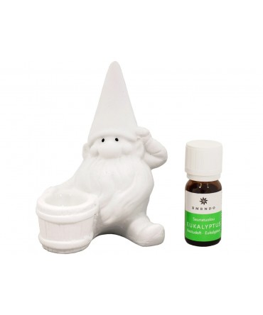 Set recipient si aroma Eucalipt 10 ml | Emendo