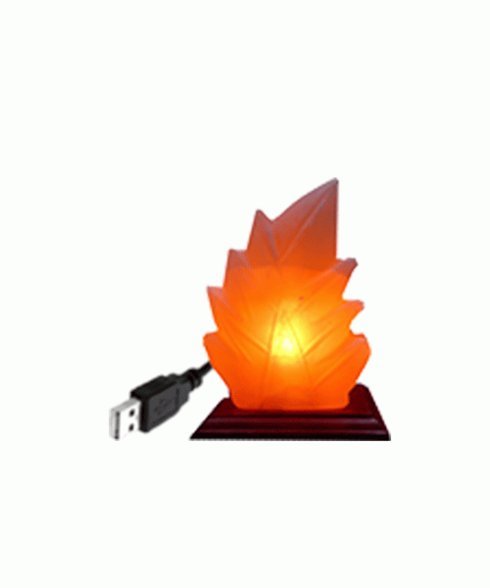 Veioza USB din sare de Himalaya forma frunza | Spa Supplies