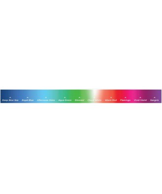 Proiector acvatic RGB LED model Color Logic 320 | Hayward