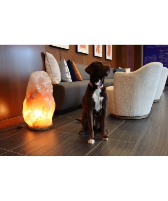 Veioza din sare de Himalaya 41-45kg | Spa Supplies