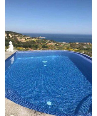 Clarifiant Miraclear pentru limpezirea apei piscinelor | Lo-Chlor