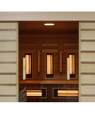 Sauna clasica infrarosu si cromoterapie pentru persoane cu dizabilitati motorii PSHCA | EU