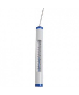 Termometru analog pentru piscine Delux | Pool Supplies