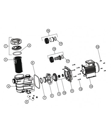 Piese schimb pompa model Power Flo II | Hayward