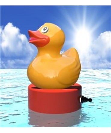 Atractie apa Duck | Pool Supplies