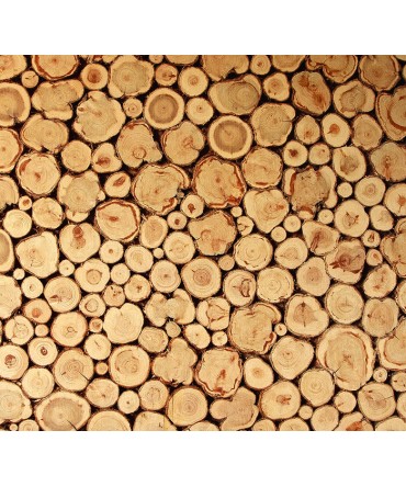 Perete decorativ pentru sauna | Spa Supplies