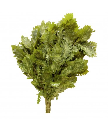 Matura sauna stejar si menta | Spa Supplies